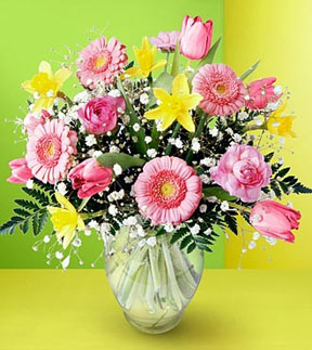 c pour vous les amies
